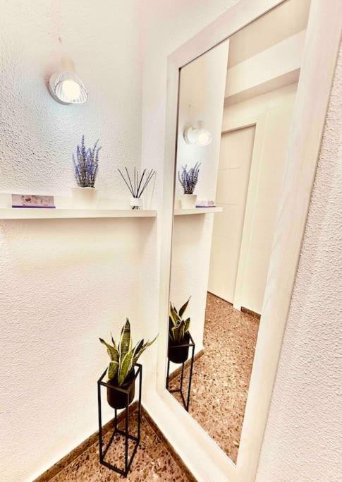 Citadella Apartment Puerto de Sagunto Exterior photo